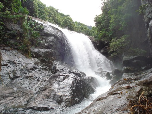 17_21_1330743568_53_hgt8