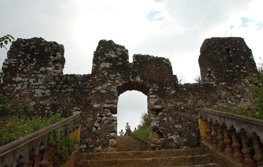 thanh-co-chau-sa-vinacel-